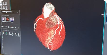 Avaliação detalhada do sistema cardiovascular